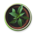 No Blog Title Set